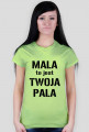 Koszulka "mała to jest twoja pała"