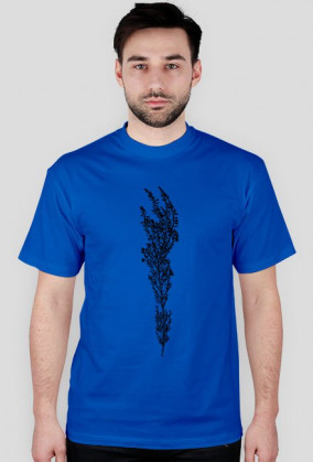 Calluna vulgaris kolor
