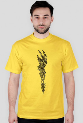 Calluna vulgaris kolor