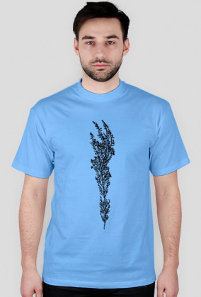 Calluna vulgaris kolor