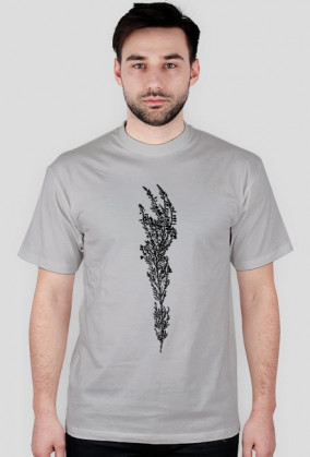 Calluna vulgaris kolor
