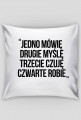 Jedno mówię, drugie myślę