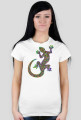 Gecko CLD
