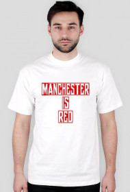 Koszulka kibica Manchester United