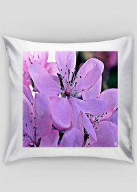 KaDa - Poszewka na poduszkę - kwiaty