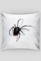 Poduszka z pajączkiem