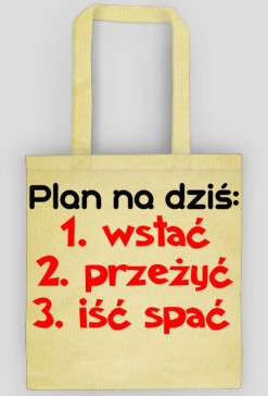 Plan na dziś