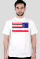 usaflagswht