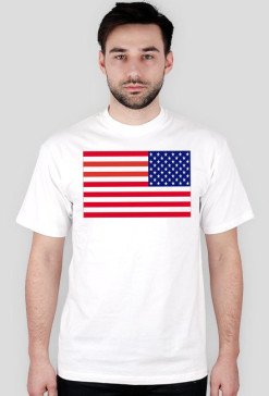 usaflagswht