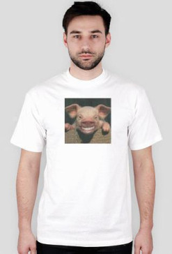 Pigi
