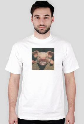 Pigi