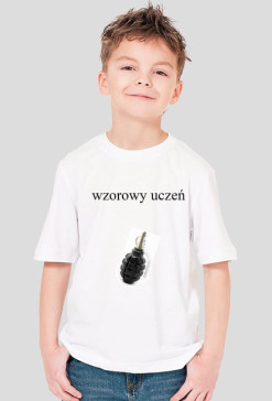 koszulka