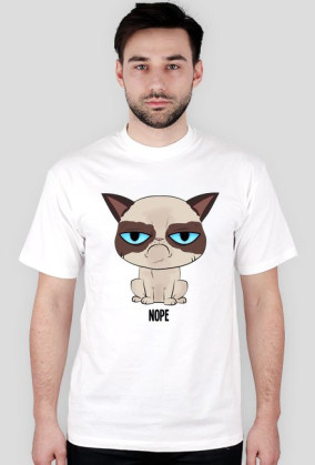 Grumpy cat