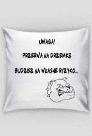 Poduszka "Przerwa na drzemkę"