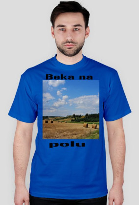 Taka beka na polu