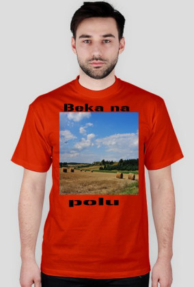 Taka beka na polu
