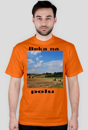 Taka beka na polu