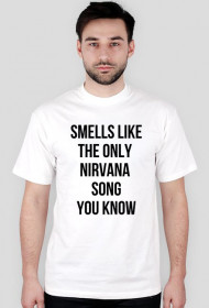 THE ONLY NIRVANA SONG