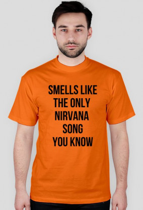 THE ONLY NIRVANA SONG