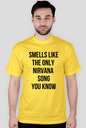 THE ONLY NIRVANA SONG