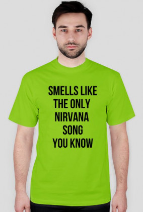THE ONLY NIRVANA SONG