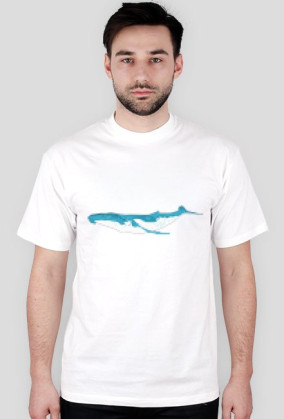 whale