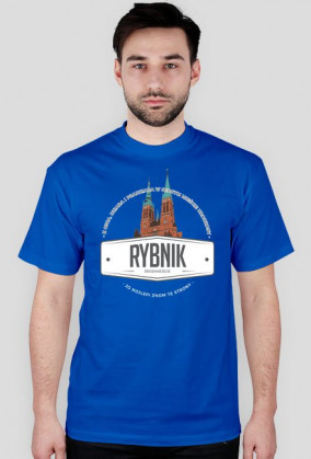 Rybnik Śródmieście - ciemne kolory
