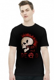 DlaPar - punks not dead