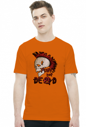 DlaPar - punks not dead