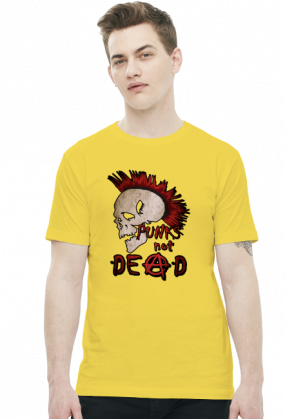 DlaPar - punks not dead