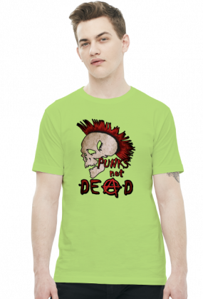 DlaPar - punks not dead