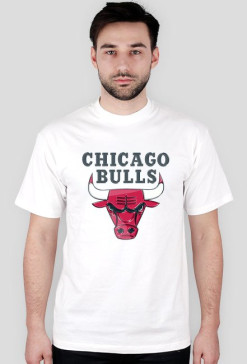Tshirt Fan Male | Chicago Bulls