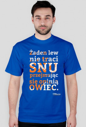 Żaden lew nie traci snu...