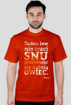 Żaden lew nie traci snu...