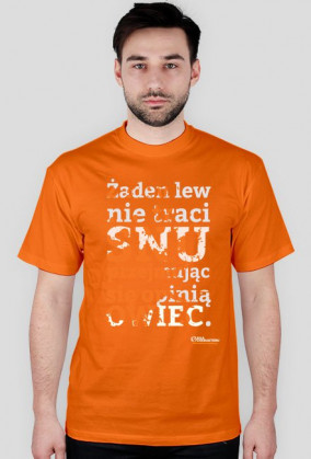 Żaden lew nie traci snu...