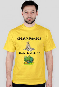 gdzie sa piniondze