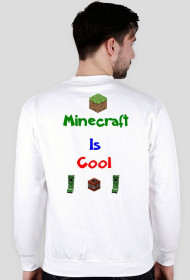 Is Cool Minecraft