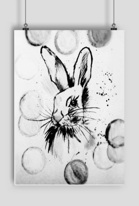 Rabbit Black & White