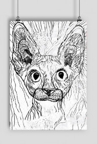 Sfinks Black & White