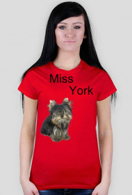 Miss York