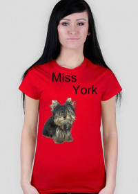 Miss York