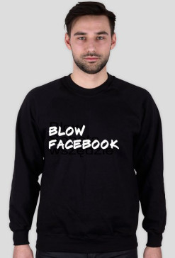 bluza
