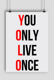 Plakat Yolo