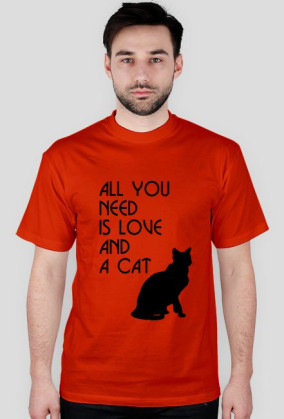 Koszulka all you need cat