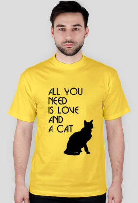Koszulka all you need cat
