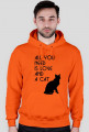 Bluza all you need cat