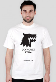 Dochodzi zima