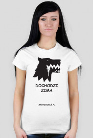 Dochodzi zima