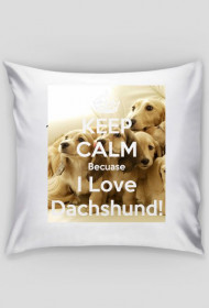 Poduszka "Keep Calm Because i Love Dacshund!"