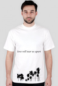 love will tear us apart